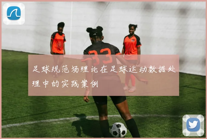 足球规范场理论在足球运动数据处理中的实践案例