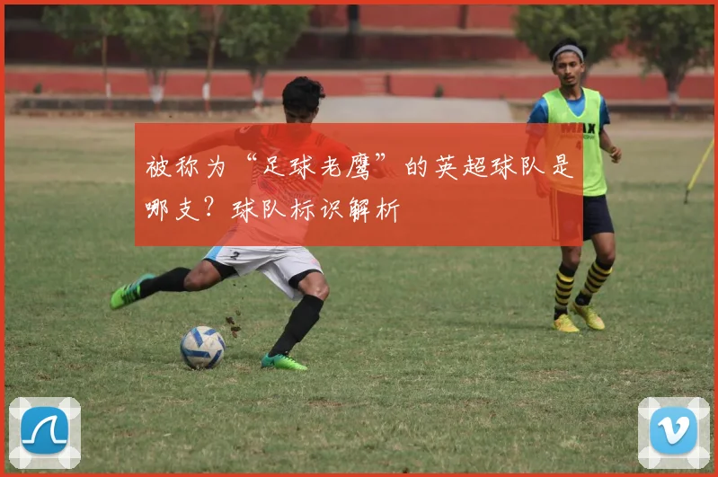 被称为“足球老鹰”的英超球队是哪支？球队标识解析