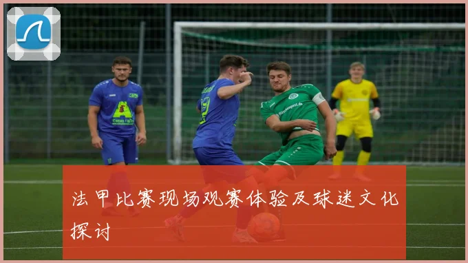 法甲比赛现场观赛体验及球迷文化探讨