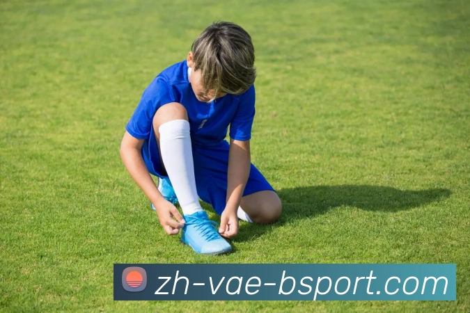 B体育APP 封面图